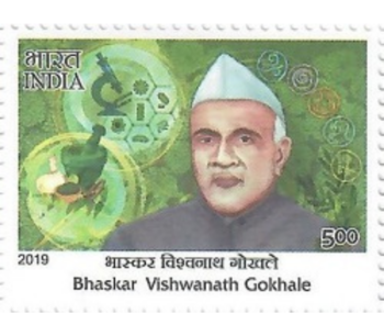 Bhaskar Vishwananth Ghokale