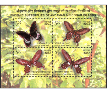 Endemic Butterflies of Andaman and Nicobar Islands