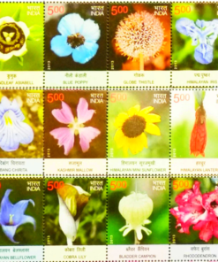 Wild Flowers of India Miniature Sheet